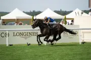 Aidan O'Brien Reaches 100 Royal Ascot Winners as Scandinavia Wins Gold Cup