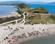 Albania Protests: Trump-Linked Resort Threatens Flamingo Wetlands