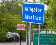Alligator Alcatraz Detainees Relocated Amid Human Rights Allegations