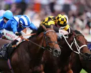 Almeraq denies Satono Reve in Royal Ascot Jubilee Stakes thriller