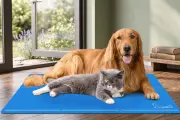 Amazon Deal: Pecute Dog Cooling Mat for Summer, Now 37% Off