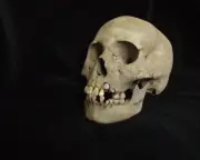 Ancient DNA Reveals Plague Outbreak in Siberian Hunter-Gatherers 5,500 Years Ago