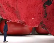 Anish Kapoor Review: A Divine Bloodbath at Hayward Gallery