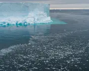 Antarctica missing sea ice size of France as temperatures soar 20C above average