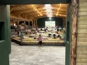 Attwell Farm Park: England's Best Family Attraction 2 Hours from London