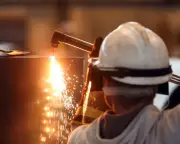 Audit firm fined and banned for Gupta Metals Empire failures