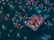 Australia's Best Photos of the Month: June 2026 Highlights