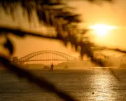 Australia's BoM Declares Strong El Niño, Warns Climate Change Could Amplify Effects