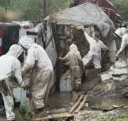 Bees escape after truck carrying hives overturns in Texas