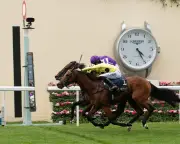 Bow Echo Holds Off Gstaad in Thrilling Royal Ascot St James's Palace Stakes