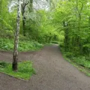 Boy, 4, abducted in park in front of mother, later found safe