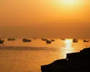 Brent crude falls below $80 as Iranian tankers resume shipping