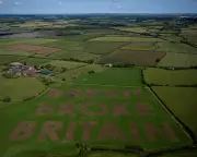 Brexit Anniversary Letters: Assault on Facts and Lasting Regret