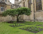 Cambridge experts recreate 336-year-old garden of 17th-century botanist John Ray