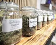 Cannabis Commercialization, Not Decriminalization, Drives Up Usage, Study Finds