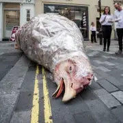 Car-Sized Fake Chicken Dumped Outside Oxford Circus Pret in Protest
