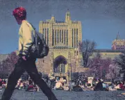Critics question motives behind $200m US campus civility industry