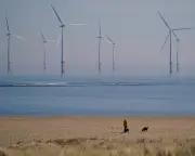 Crown Estate reports £1bn profit for third year on offshore wind boom