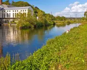 Cyclist Doctor Rescues Four from Drowning in Ruhr River