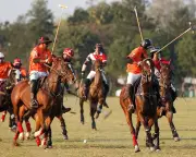 Delhi's historic polo club battle: green space vs construction in heat crisis