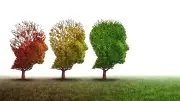 Dementia patients overlooked: readers call for dignity and respect