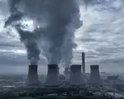 Drax Cleared by FCA After Wood Pellet Sourcing Investigation
