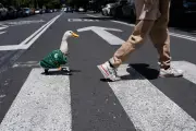 Duck in Mexico World Cup jersey becomes viral sensation