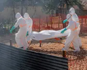 Ebola Outbreak in DRC: Human and Economic Toll Mounts in Bunia