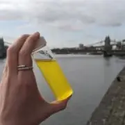E.coli levels in River Thames exceed safe swimming threshold by 60 times after sewage spill