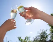 English Wine Comes Into Its Own: Higher Volumes, Lower Prices, Exciting Styles