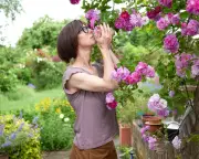 Finding Joy in Small Sensory Pleasures: One Writer's Week of Mindfulness