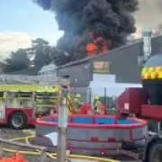 Fire at children's mini zoo kills all animals, including meerkats and snakes