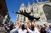 Flamenco Ballet and Black Swan Cygnets: Weekend Photos