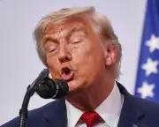 G7 Hot Mics, Epstein's Final Days, Bees, and More: Digested Week