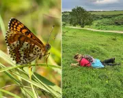 Gaslit, Shamed, Swindled: Eleanor Glanville’s Butterfly Legacy