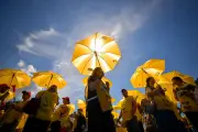 Global Photos: AI Art Museum, Gold Mining, Protests, and Wildfires