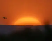 Global photos: Mallorcan sunrise, flustered king, and World Cup celebrations