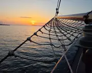 Global Snapshots: Baltic Sailing to Puffin Sanctuaries – Readers' Best Photos