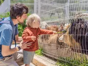 Great British Summer Savings scheme starts: VAT cut on days out