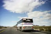 Greyhound bus travel boom: Can America's buses ever be cool again?