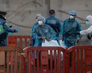 Hantavirus Outbreak on Cruise Ship Raises Public Health Concerns