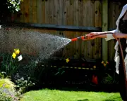 Hosepipe ban imposed by South East Water amid heatwave demand surge