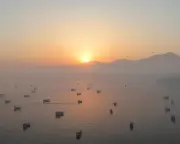 Indian Outrage Grows Over US Killing of Sailors in Strait of Hormuz