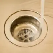 Inside the 49,000-Member Reddit Movement Dedicated to Peeing in the Sink