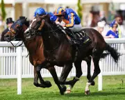Joseph O'Brien Emerges as Racing's Next Big Force, Says Tom Segal
