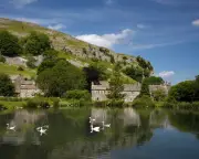 Letters: A Lifetime of Love for Wharfedale Wildlife and Toilet Handedness