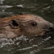 London Beavers End Underground Station Flooding in Just Weeks