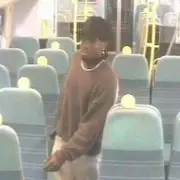 Man Wanted After Masturbating at Woman on Croydon Train