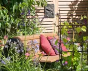 Midsummer garden planning: how to use shade and sun for design