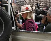 Missing boy's grandmother fined for firearms offence in Adelaide